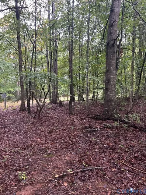141 Kozy Ln, Buckingham, VA 23921