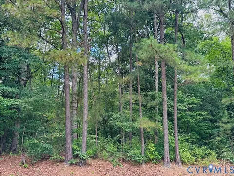 11301 Brooks St, Greenwood, VA 23059