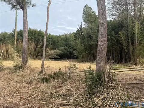 0 Cedon Rd, Woodford, VA 22580 photo 8