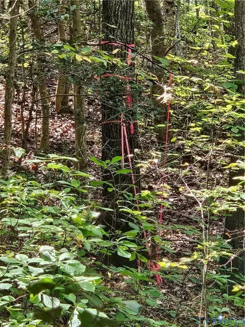 00 Off Of Long Branch Rd, Woodford, VA 22580