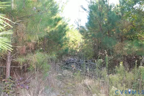 tbd E River Rd, Cardinal, VA 23025 photo 38
