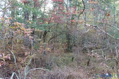 tbd E River Rd, Cardinal, VA 23025 photo 27