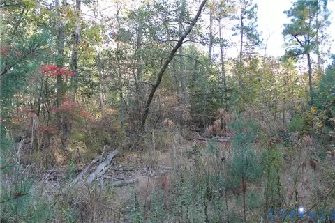 tbd E River Rd, Cardinal, VA 23025 photo 21