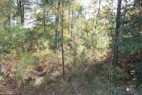 tbd E River Rd, Cardinal, VA 23025 photo 33