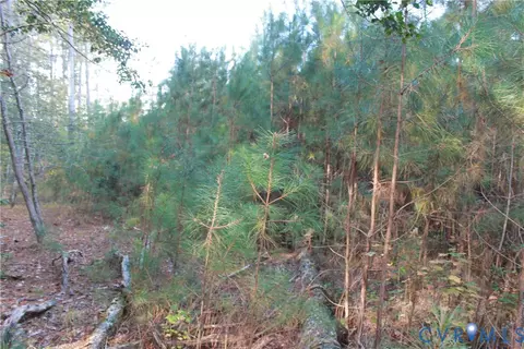 tbd E River Rd, Cardinal, VA 23025 photo 19