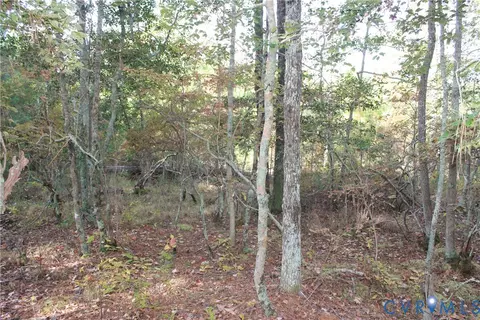 tbd E River Rd, Cardinal, VA 23025 photo 25