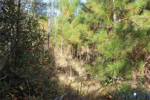 tbd E River Rd, Cardinal, VA 23025 photo 37