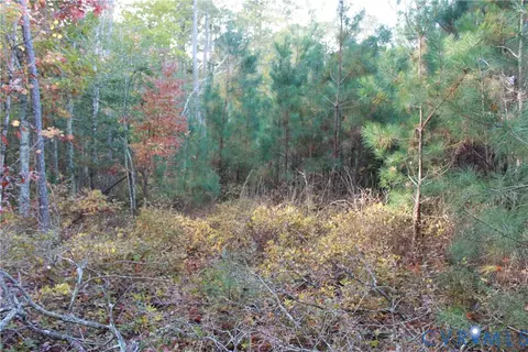 tbd E River Rd, Cardinal, VA 23025 photo 14
