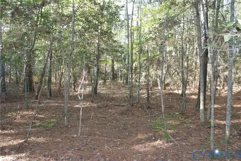 tbd E River Rd, Cardinal, VA 23025 photo 9