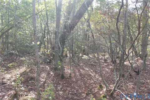 tbd E River Rd, Cardinal, VA 23025 photo 30