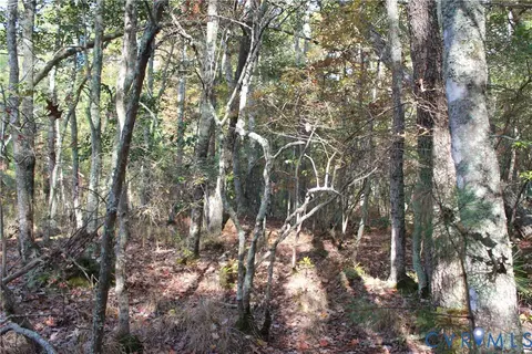 tbd E River Rd, Cardinal, VA 23025 photo 28