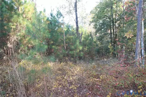 tbd E River Rd, Cardinal, VA 23025 photo 15