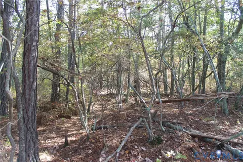 tbd E River Rd, Cardinal, VA 23025 photo 31
