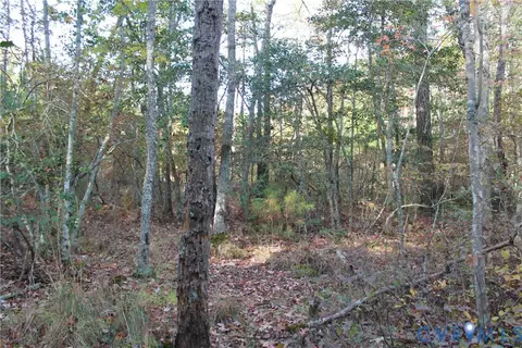 tbd E River Rd, Cardinal, VA 23025 photo 23