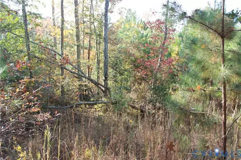 tbd E River Rd, Cardinal, VA 23025 photo 29
