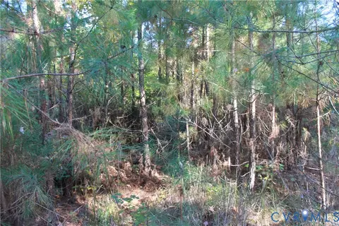 tbd E River Rd, Cardinal, VA 23025 photo 39