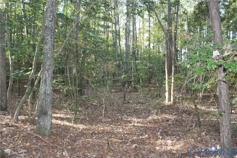 tbd E River Rd, Cardinal, VA 23025 photo 5