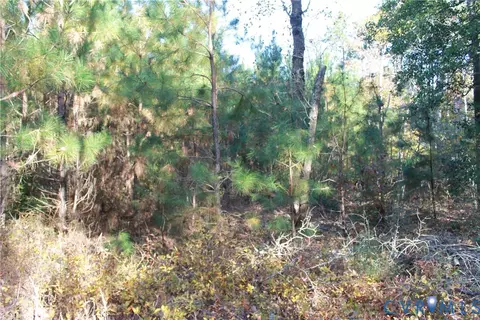 tbd E River Rd, Cardinal, VA 23025 photo 41