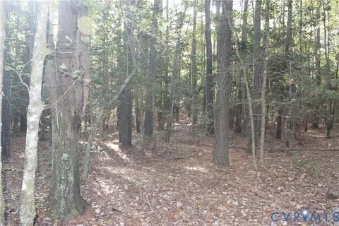 tbd E River Rd, Cardinal, VA 23025 photo 7