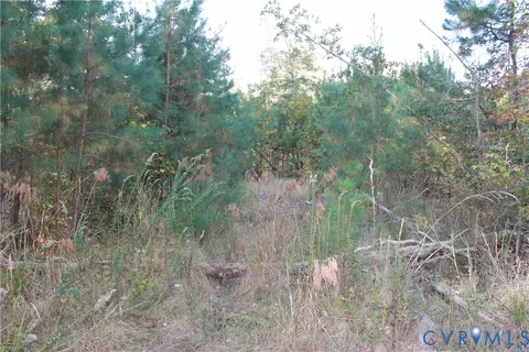 tbd E River Rd, Cardinal, VA 23025 photo 22