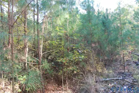 tbd E River Rd, Cardinal, VA 23025 photo 16