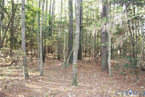 tbd E River Rd, Cardinal, VA 23025 photo 8
