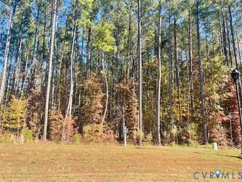 13337 Drake Mallard Pl, Chesterfield, VA 23838