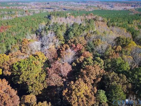 15 Acres Hills Dr, Dewitt, VA 23840