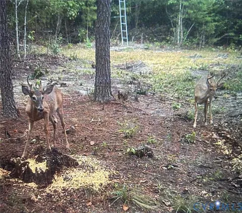 0 E River Rd, King William, VA 23086 photo 3