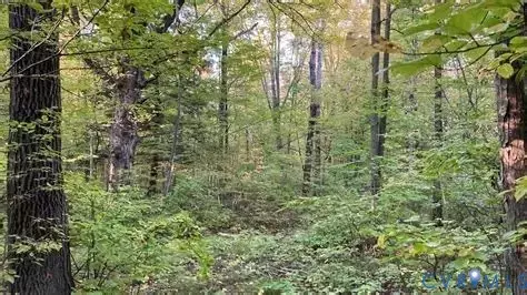 lot19 Stonewall Dr, Amelia Courthouse, VA 23002