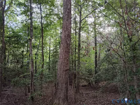 108 5 Ac Buzzards Neck Rd, Lancaster, VA 22503 photo 24