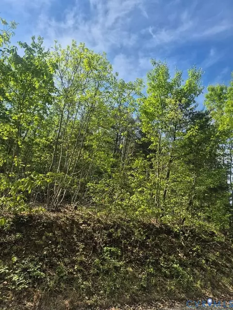 lot16 Mountain Creek Rd, Green Bay, VA 23942