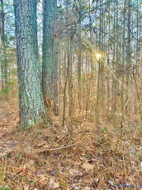 19331 River Rd, Chesterfield, VA 23838