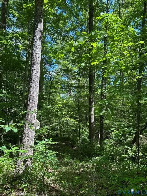 00 Youngstown Rd, Goochland, VA 23063