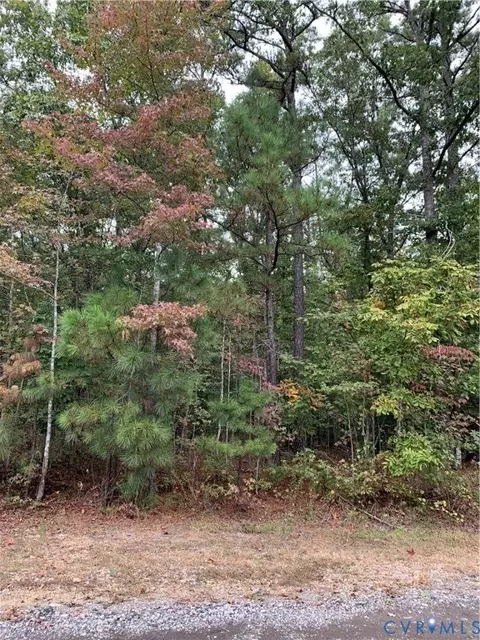 000 Easy St, Disputanta, VA 23842