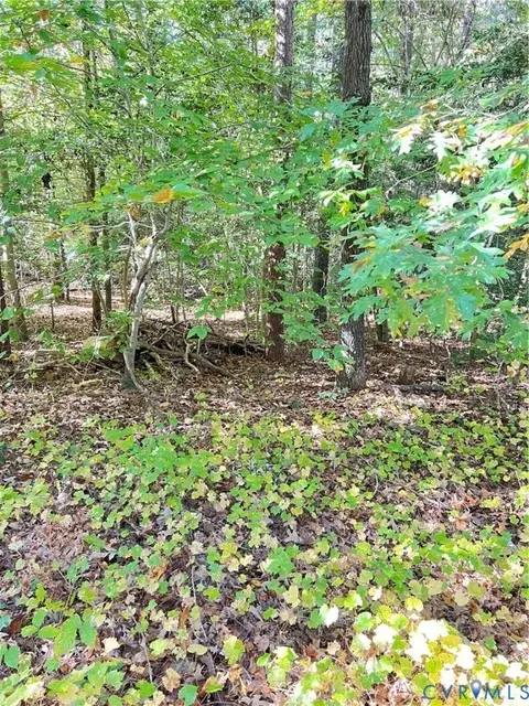 0 Country Club Ln, Ruther Glen, VA 22546