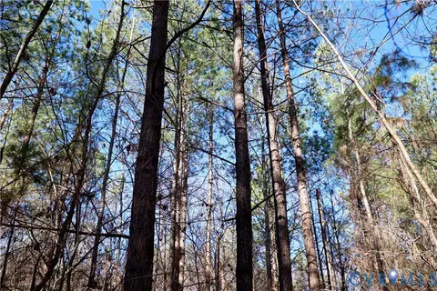 0 Beaver Acres Ln, Buffalo Junction, VA 24529