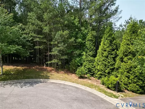 16151 Founders Bridge Ter, Midlothian, VA 23113 photo 5