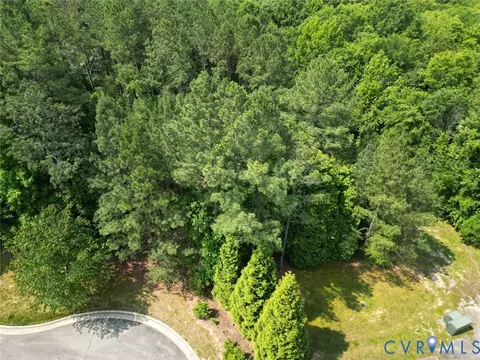 16151 Founders Bridge Ter, Midlothian, VA 23113 photo 4