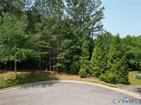 16151 Founders Bridge Ter, Midlothian, VA 23113 photo 2
