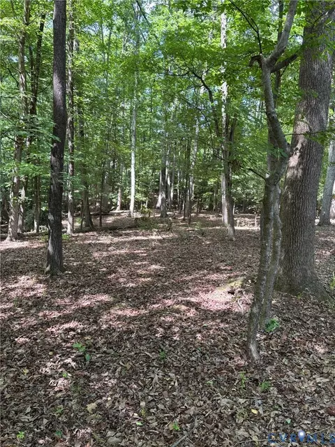 3430 E Old Gun, Midlothian, VA 23113 photo 4