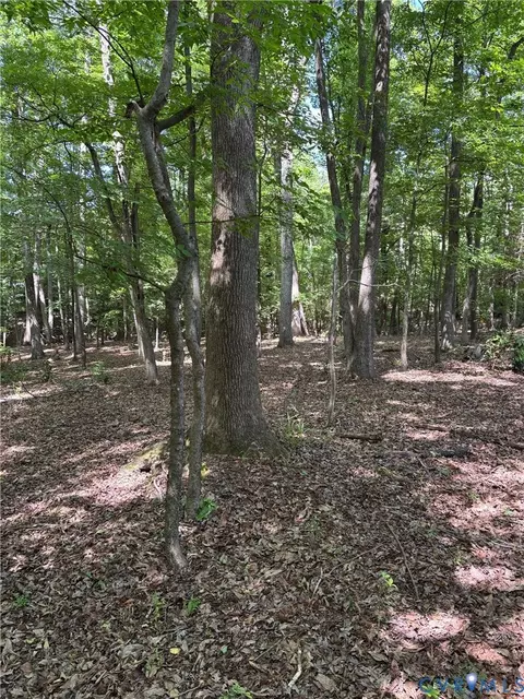3430 E Old Gun, Midlothian, VA 23113 photo 5