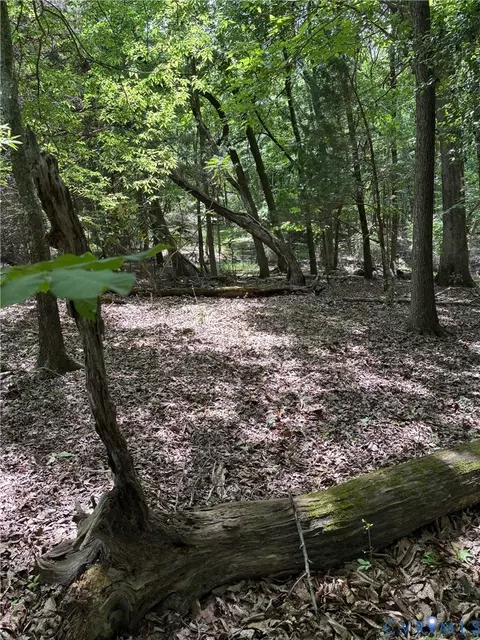 3430 E Old Gun, Midlothian, VA 23113 photo 2