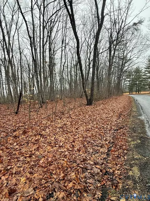 0 Forest Chapel Rd, Pamplin, VA 23958