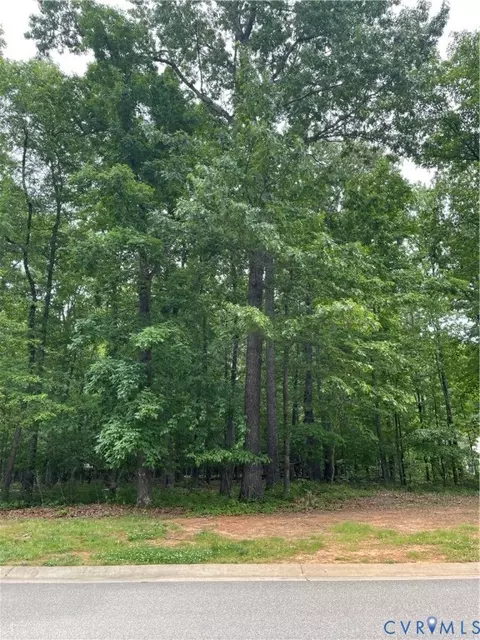 3115 Lake Stone Ter, Powhatan, VA 23139