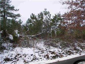 4921 Mountcastle, Providence Forge, VA 23140 photo 1