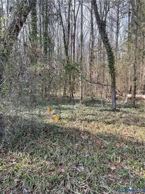 0 Laurel Park Rd, Essex, VA 22560