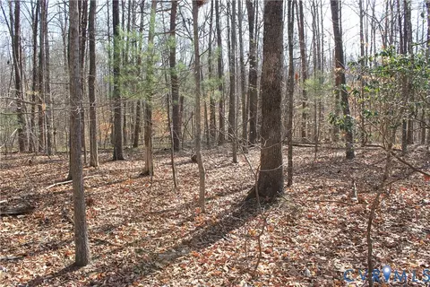 000 Harbor Dr, Orange, VA 22960 photo 3