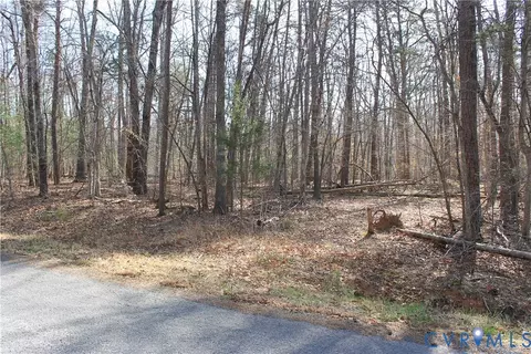 000 Harbor Dr, Orange, VA 22960 photo 31