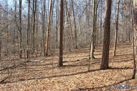 000 Harbor Dr, Orange, VA 22960 photo 26